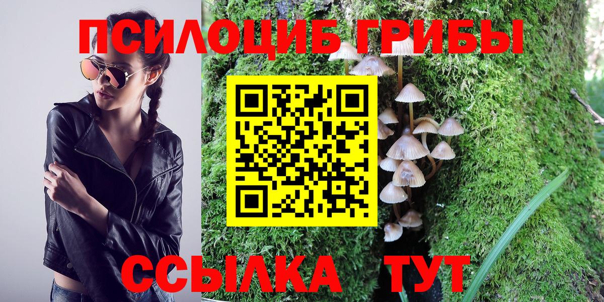Псилоцибиновые грибы Cubensis Конаково